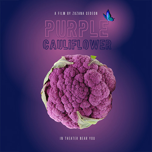 Purple Cauliflower on dark blue background. Title Purple Cauliflover has small blue butterfly fluttering precariouslu at the edge. Text above reads: a film by Zuzana Gedeon.